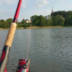 #fisch