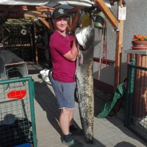 Profilbild