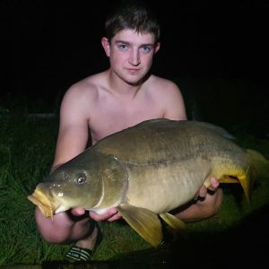 Profilbild