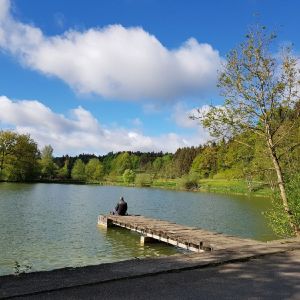 Profilbild