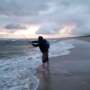 Profilbild