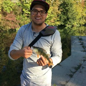 Profilbild