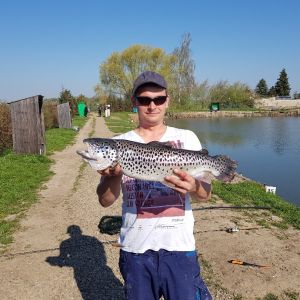 Robsi86