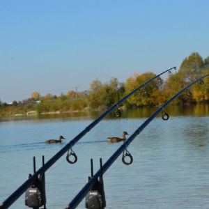 raub_fried_fischspezi