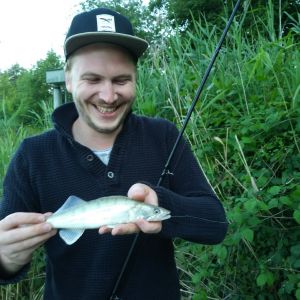 Profilbild