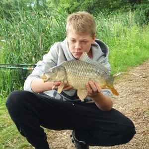 Profilbild