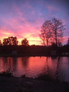 Toniforelli im Oldenburger Land