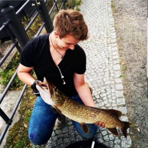 Profilbild