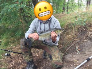 Profilbild