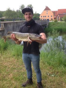Profilbild