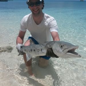 Hi-Fish Gäng