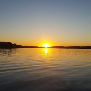 Schwedenfan