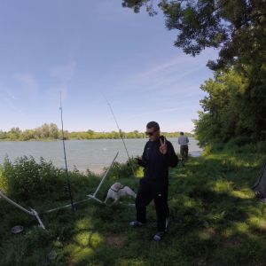 Andi-Og