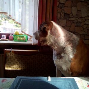 Profilbild