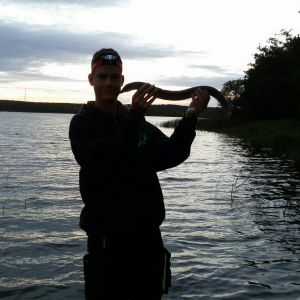 Profilbild