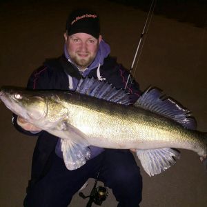 Angelo Elbcoast-Guiding