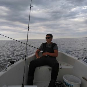 Profilbild
