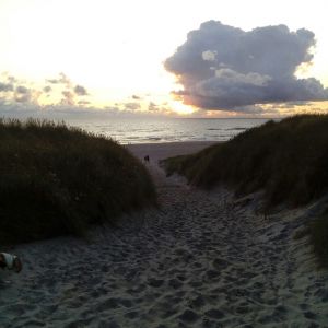 Profilbild