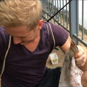 Profilbild