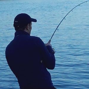 Profilbild