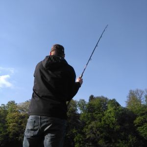 Profilbild