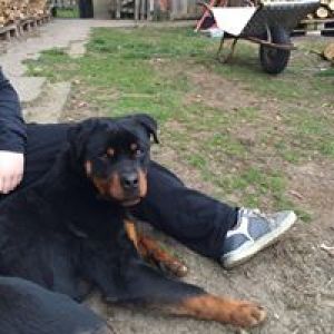 Profilbild