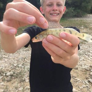 Profilbild