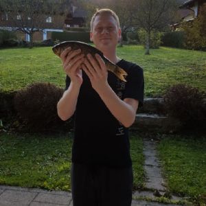 Profilbild