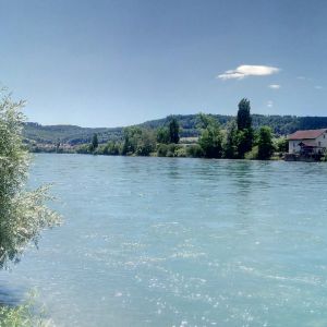 Profilbild