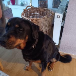 Profilbild