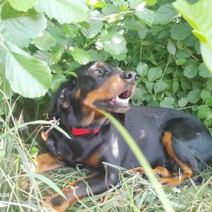 Profilbild
