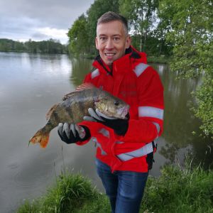 Profilbild