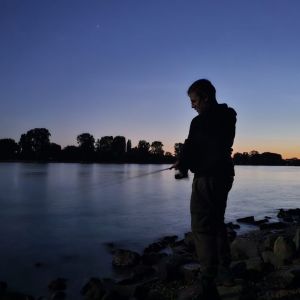 Profilbild