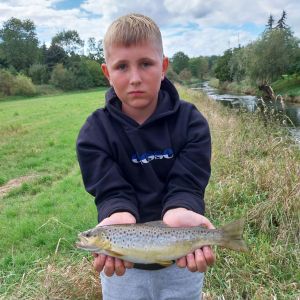 Profilbild
