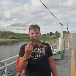 Lucarichter