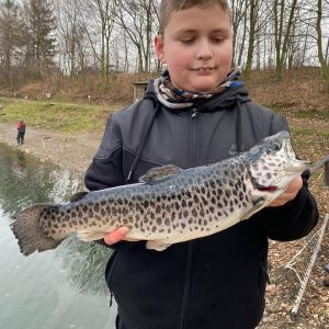 Profilbild