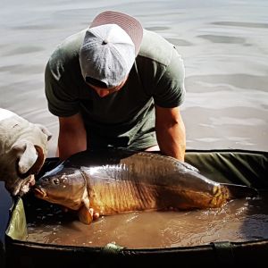 Christian Guttenberg