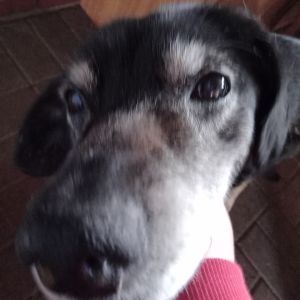 Profilbild