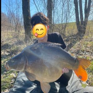 Profilbild