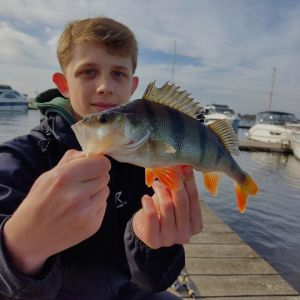 Profilbild