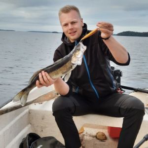 Profilbild