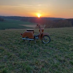 Profilbild