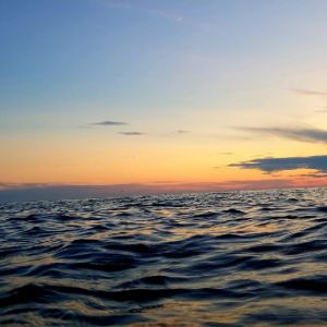 Insta: fishing_oliver