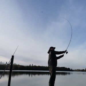 Profilbild