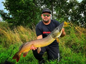 SwimbaitADDict