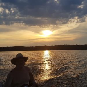 Profilbild