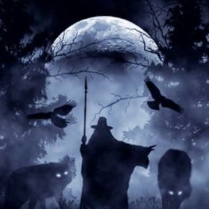 Leitwolf