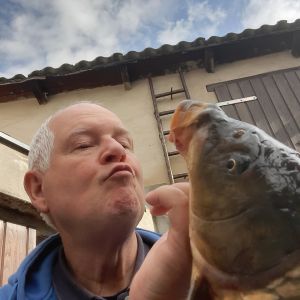 Profilbild