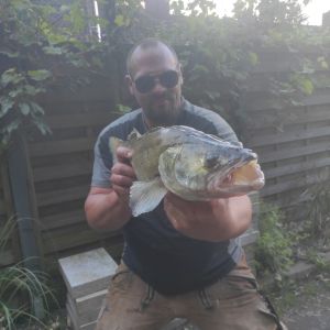 Profilbild