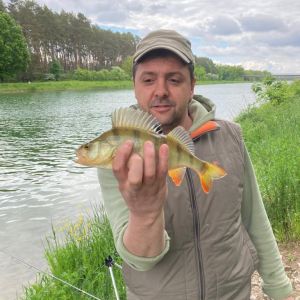 Alexander Engelhardt